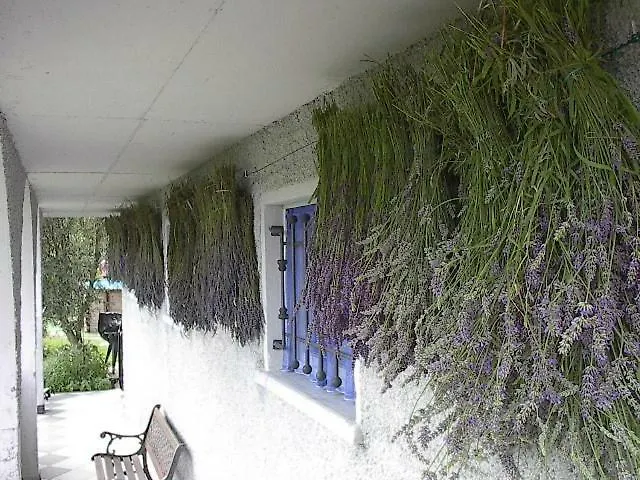 La Casa Del Lavandeto Arnico Apartment Borzonasca Italy